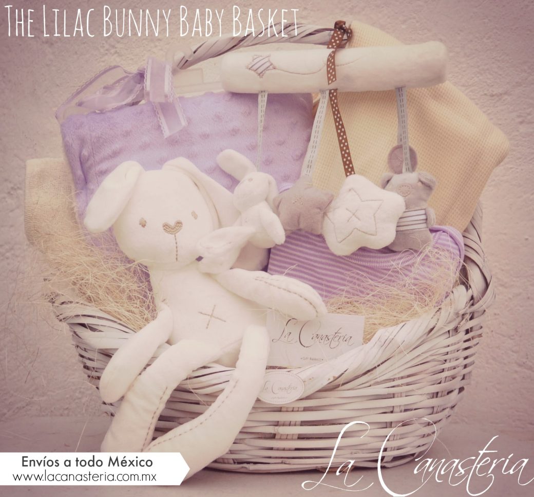 canasta de regalo para bebé, canasta de nacimiento, la canasteria baby baskets, baby baskets en mexico