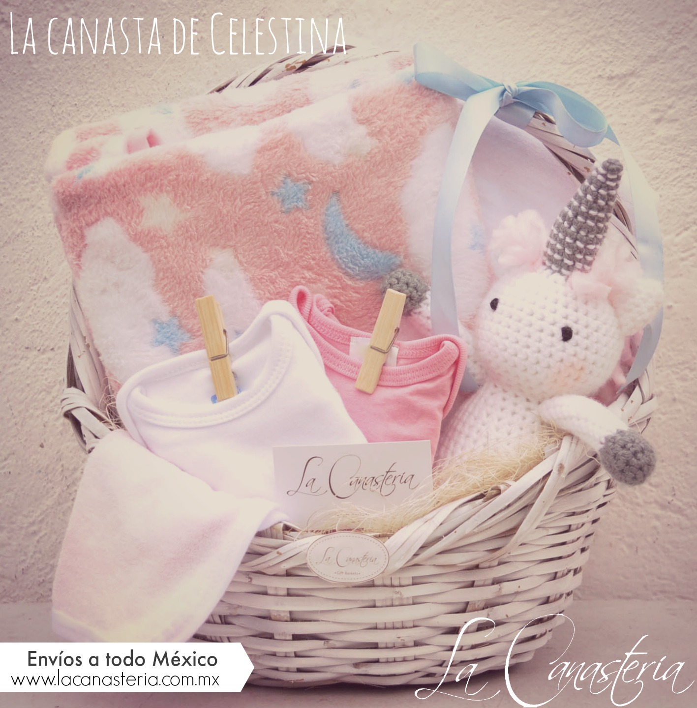 Canasta de regalo fina para recién nacida con entrega todo ...