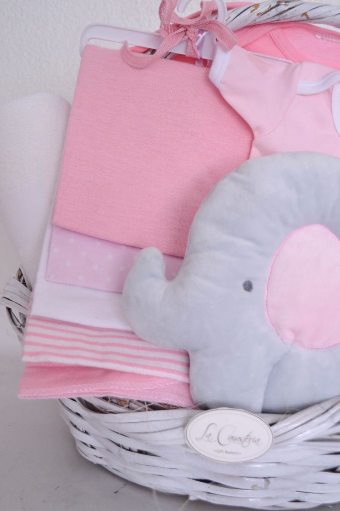 canastas de regalo para bebé con envio a domicilio puebla cdmx queretaro veracruz guadalajara