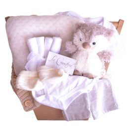 Hermosa canasta de regalo para bebé en colores neutrales con envíos a todo México.