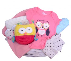 Preciosa y colorida canasta de regalo para bebé con original temática de búho y envíos a todo México! 