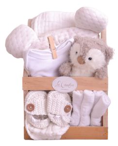 Canastas de Regalo Tiernas para Bebé de La Canastería