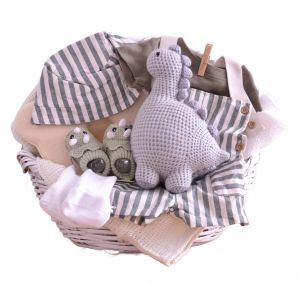 The Very Dinosaur Baby Basket: Canasta para Nacimiento de Niño!