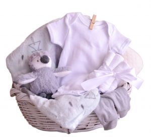 La de Menta Pingüino: Baby Baskets con Delivery en México