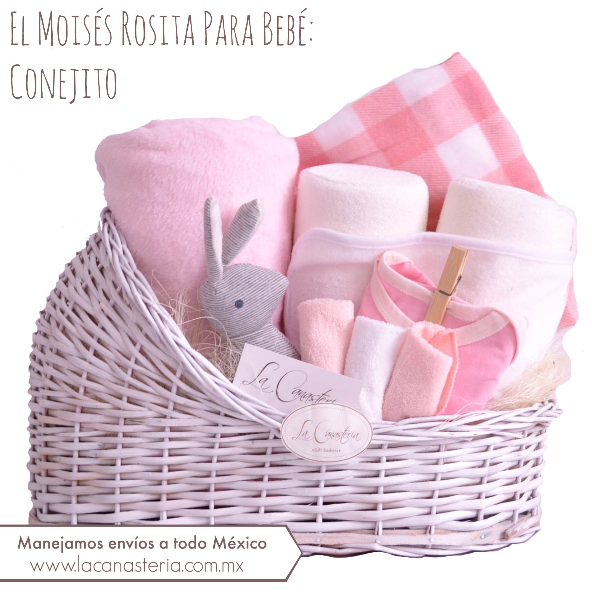 El Moises Rosita Para Bebe Nina El Moises Rosita Para Bebe Nina